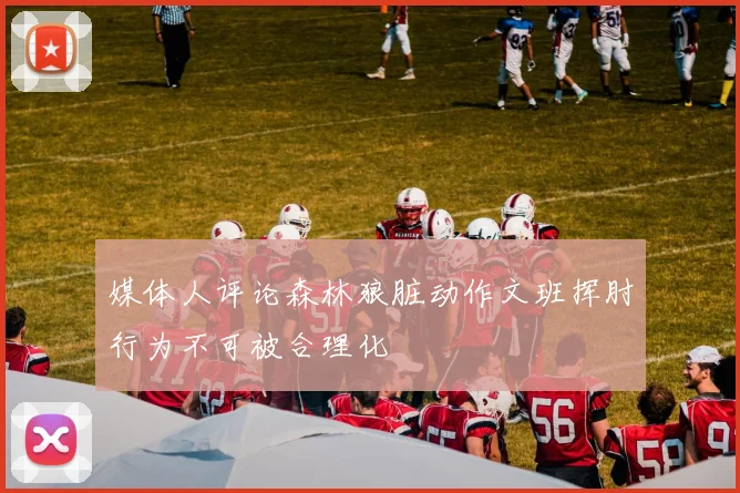 媒体人评论森林狼脏动作文班挥肘行为不可被合理化