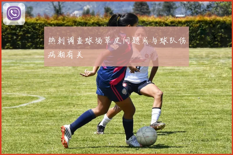 热刺调查球场草皮问题或与球队伤病潮有关